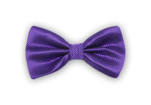 Фото товара Бабочка филетовая, артикул: 611 Метелики