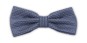 Фото Бабочка голубая в клетку артикул: 655 Метелики