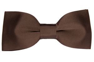 Фото товара Бабочка коричневая матовая, артикул: 111-111 Метелики