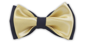 Фото товара Бабочка синяя комбинированная, артикул: 637 Метелики