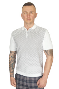 Фото товара Футболка-поло світло сіра текстурна  ENRICO CERINI, артикул: 203013 Футболки та поло