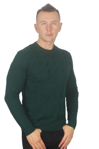 Фото Свитер тёмно-зелёный тканевый узор ENRICO CERINI артикул: 204302-4 Светри , Кофти поло