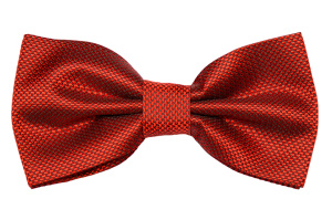 Фото товара Бабочка красная текстурный узор, артикул: 106-106 Метелики