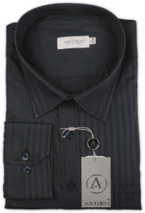 Фото товара Рубашка зелёная Aygen, артикул: 24209-1 Приталені