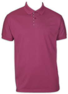 Фото товара Футболка поло малиновая HANLIN, артикул: 281815 Футболки та поло